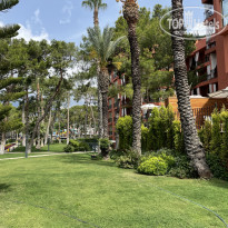 фото из отзыва ID 2692635