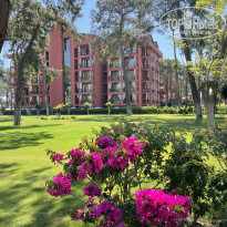 фото из отзыва ID 2692635