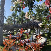 фото из отзыва ID 2692649