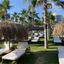 фото из отзыва ID 2692649