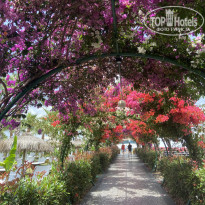 фото из отзыва ID 2692649