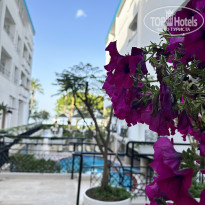 фото из отзыва ID 2692647