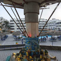 фото из отзыва ID 2691558