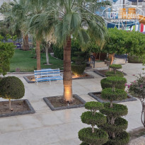 фото из отзыва ID 2691558