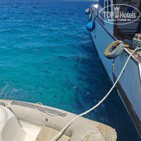 фото из отзыва ID 2692682