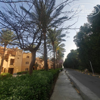 фото из отзыва ID 2692682