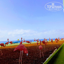 фото из отзыва ID 2692648