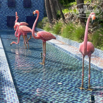 фото из отзыва ID 2692725