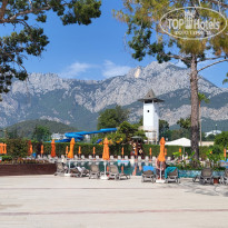 фото из отзыва ID 2692725