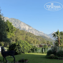 фото из отзыва ID 2692793