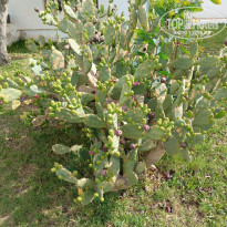 фото из отзыва ID 2692820