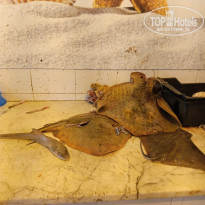 фото из отзыва ID 2692820