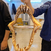 фото из отзыва ID 2692820