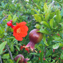 фото из отзыва ID 2692837