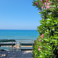 фото из отзыва ID 2692837