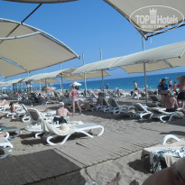 фото из отзыва ID 2692881