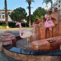 фото из отзыва ID 2692893