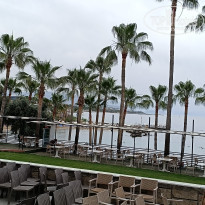 фото из отзыва ID 2692905