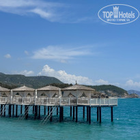 фото из отзыва ID 2692973