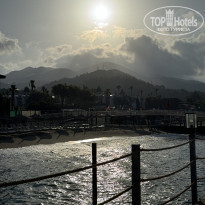 фото из отзыва ID 2692973