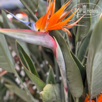 фото из отзыва ID 2692988