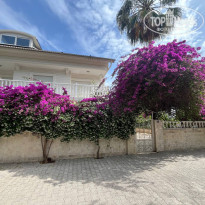 фото из отзыва ID 2692988