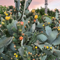 фото из отзыва ID 2692988