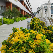 фото из отзыва ID 2693020