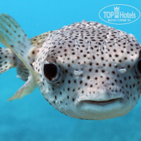 фото из отзыва ID 2692990