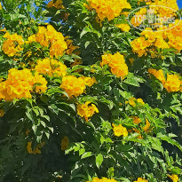 фото из отзыва ID 2692990
