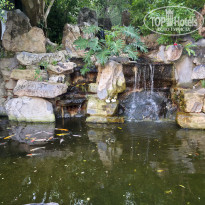 фото из отзыва ID 2693034