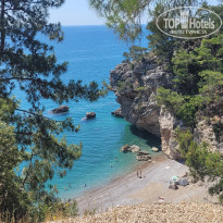 фото из отзыва ID 2693051