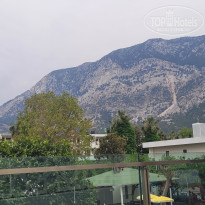 фото из отзыва ID 2693051