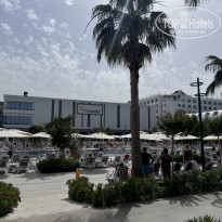 фото из отзыва ID 2693055