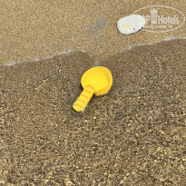 фото из отзыва ID 2693056