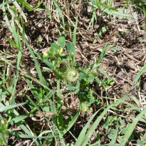 фото из отзыва ID 2693100