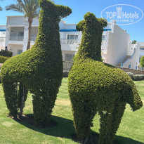 фото из отзыва ID 2693127