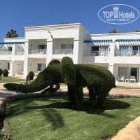 фото из отзыва ID 2693127