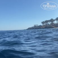 фото из отзыва ID 2693127