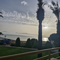 фото из отзыва ID 2693130