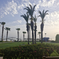 фото из отзыва ID 2693130