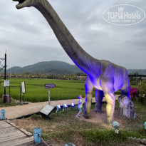 фото из отзыва ID 2693226