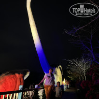 фото из отзыва ID 2693226