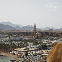 фото из отзыва ID 2693265