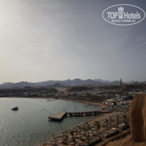 фото из отзыва ID 2693265