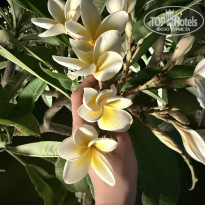 фото из отзыва ID 2693267