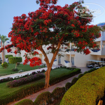 фото из отзыва ID 2693299