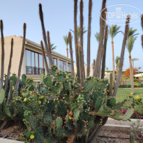 фото из отзыва ID 2693299