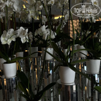 фото из отзыва ID 2693303