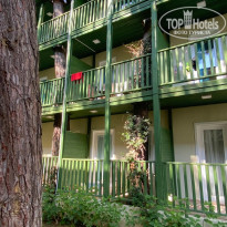 фото из отзыва ID 2693317